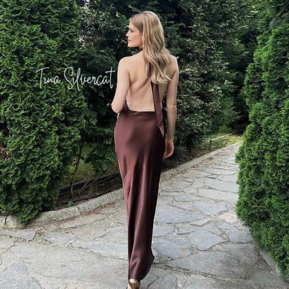 Zara Open Back Satin Effect Long Dress Brown NWT